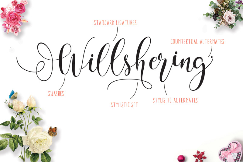 steller-bundle-11-fonts-30