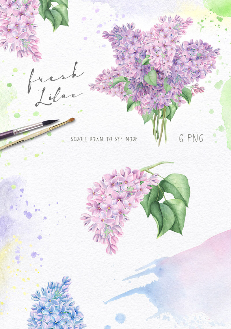 Spring Watercolor Collection 26