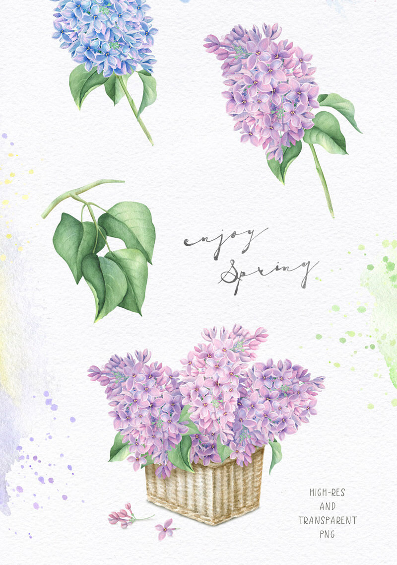 Spring Watercolor Collection 27