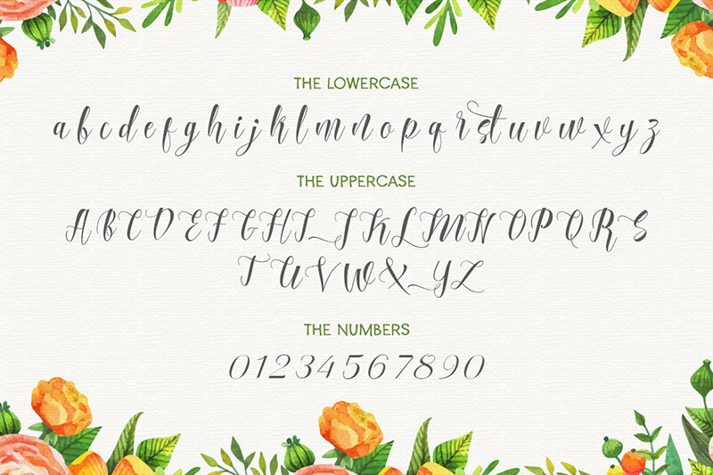 10 Awesome, unique calligraphy fonts Preview 19