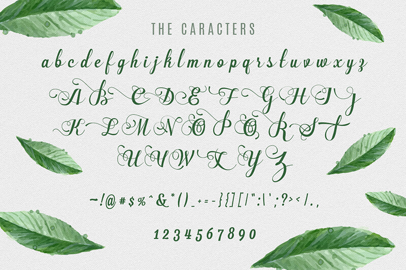 10 Awesome, unique calligraphy fonts Preview 23